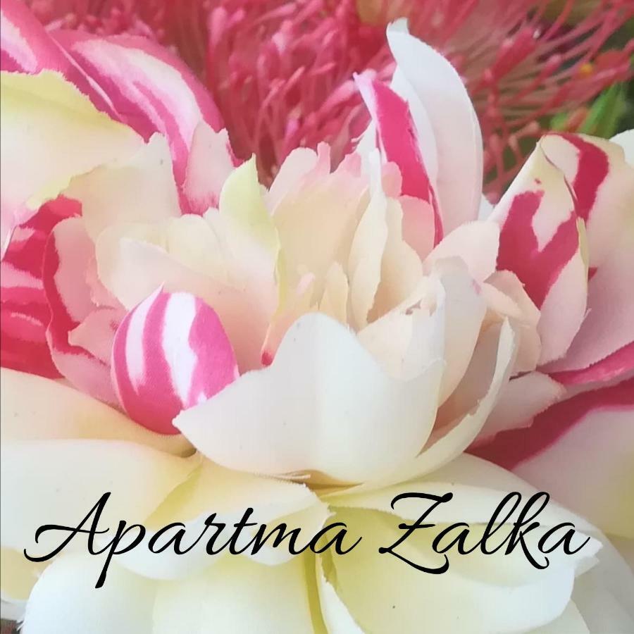 Apartma Zalka Изола Екстериор снимка