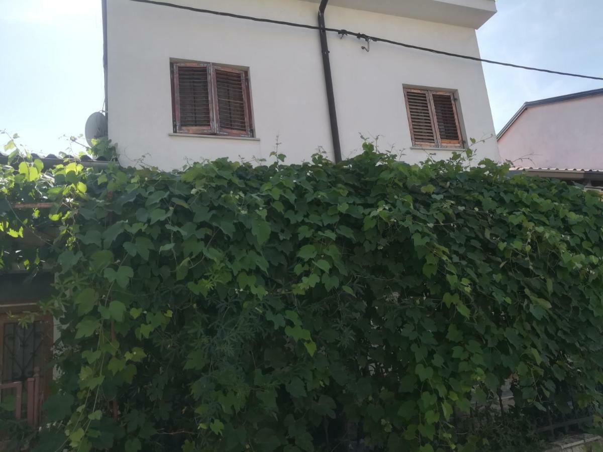 Apartma Zalka Изола Екстериор снимка